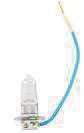 BULB 12V